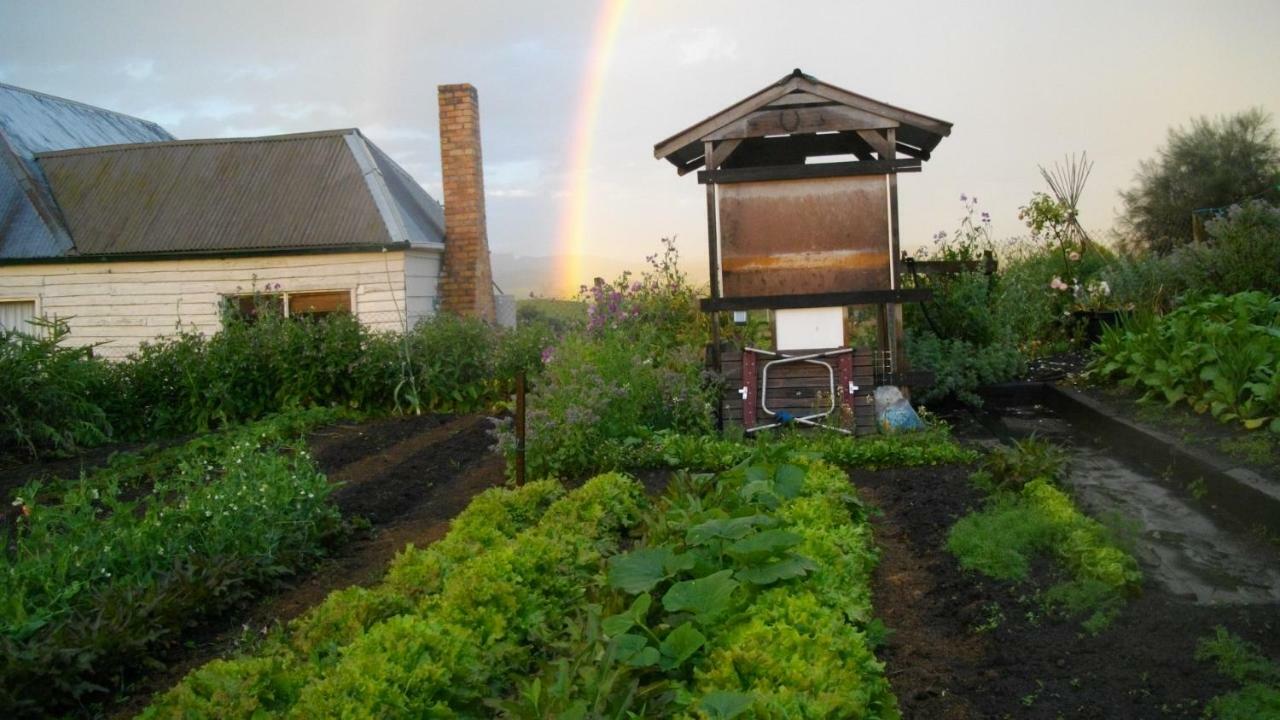 Cherry Top Farmstay - Boutique Eco Village Lilydale Exterior foto