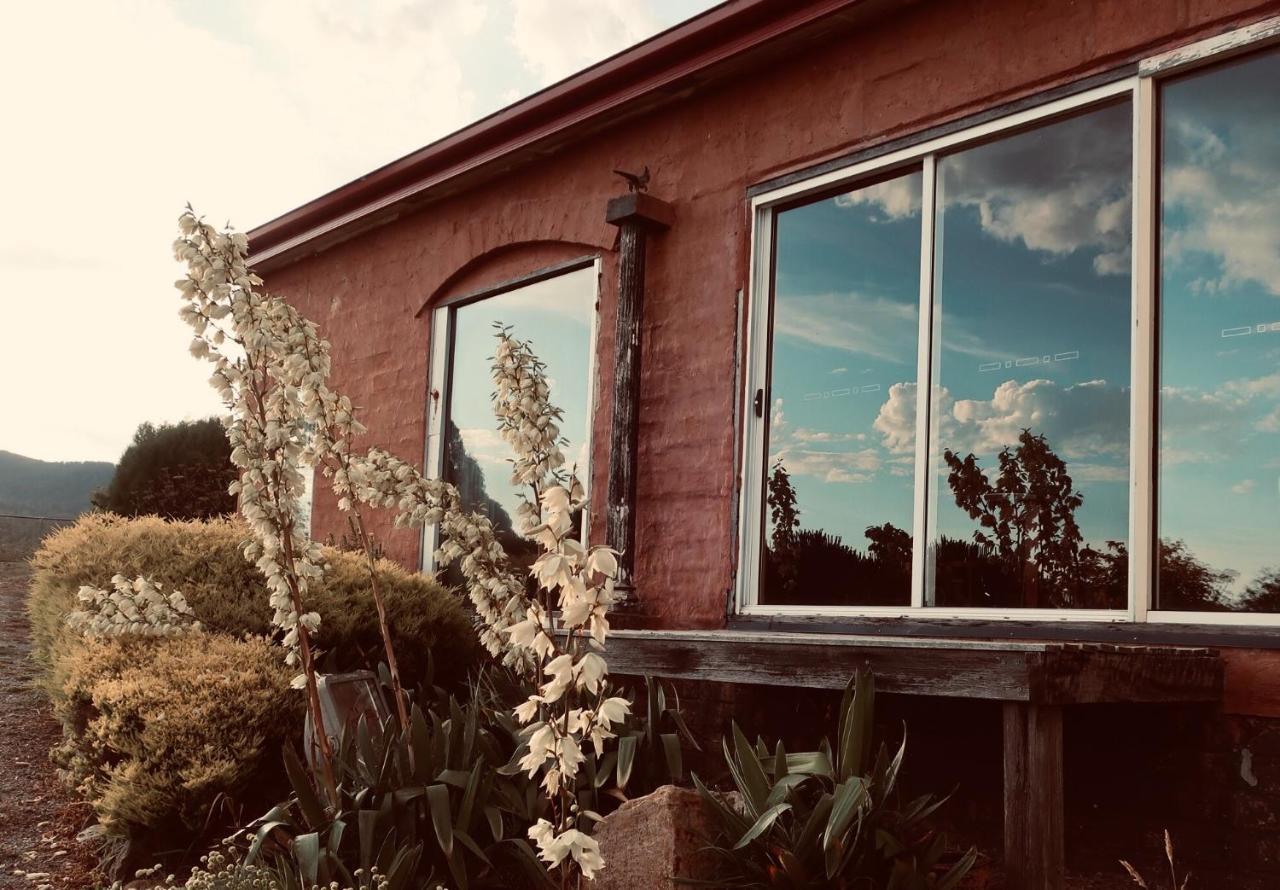 Cherry Top Farmstay - Boutique Eco Village Lilydale Exterior foto